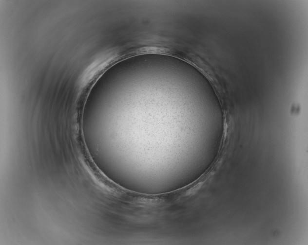 X0000112750245200909101546