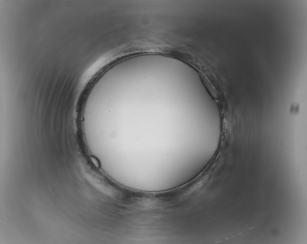 X0000112750246200909101546