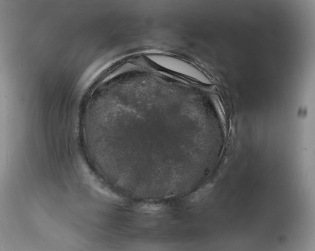 X0000112750247200909101546