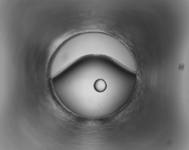 X0000112750248200909101546