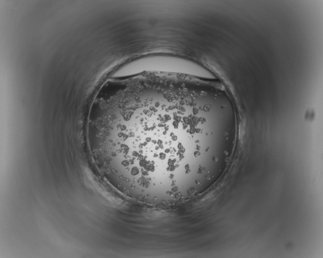 X0000112750249200909101547