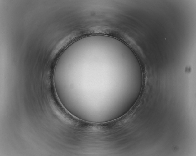 X0000112750250200909101547