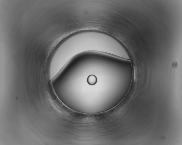 X0000112750252200909101547