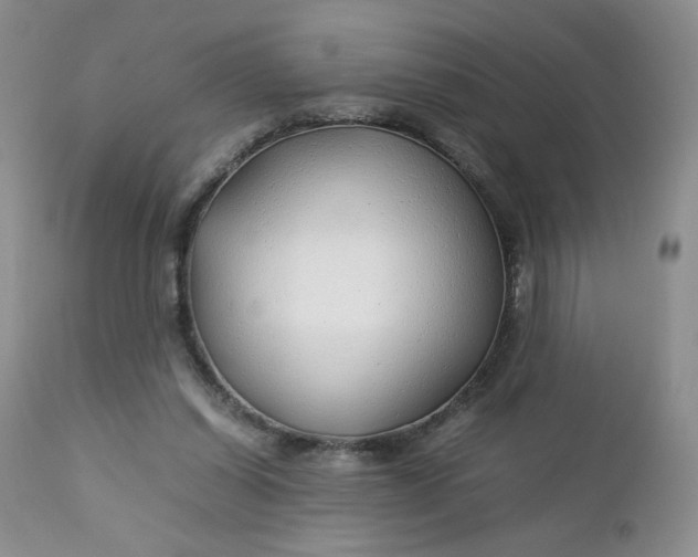 X0000112750254200909101547