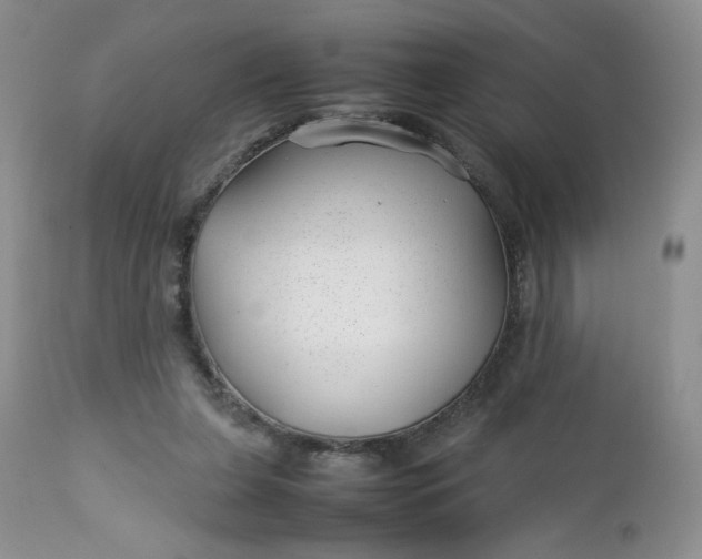 X0000112750255200909101547