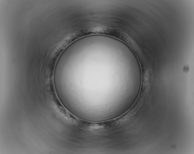 X0000112750257200909101547