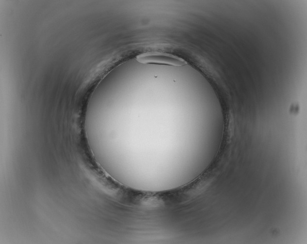 X0000112750258200909101547