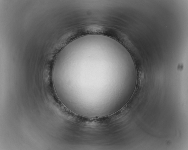 X0000112750259200909101547