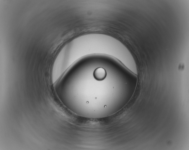 X0000112750260200909101547