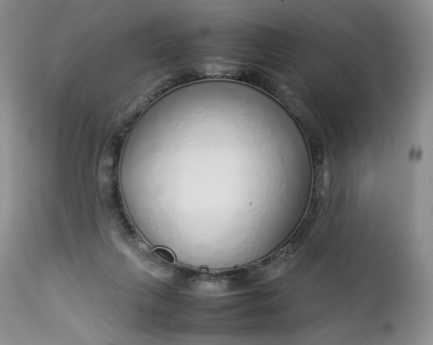 X0000112750263200909101547