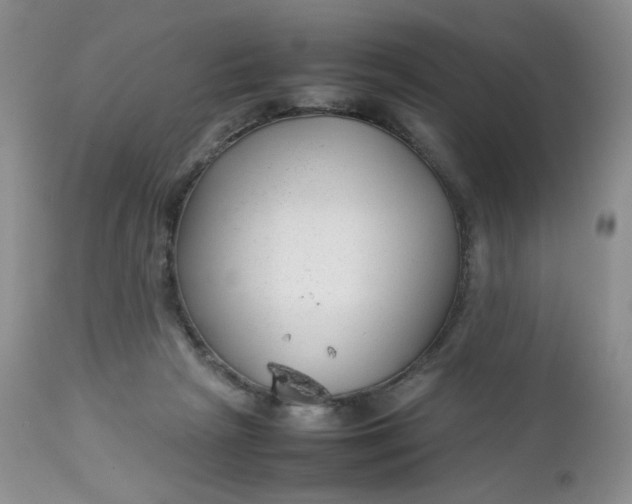 X0000112750265200909101547