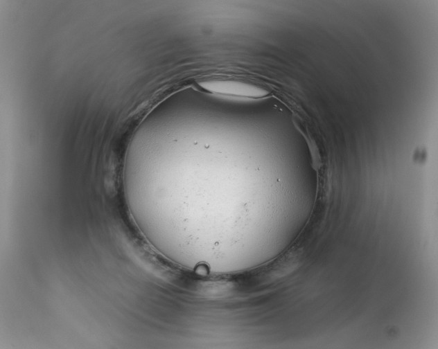 X0000112750266200909101547