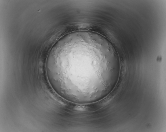 X0000112750269200909101547