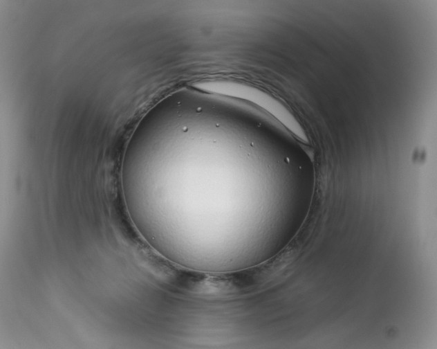 X0000112750270200909101547