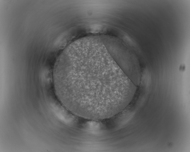 X0000112750272200909101547