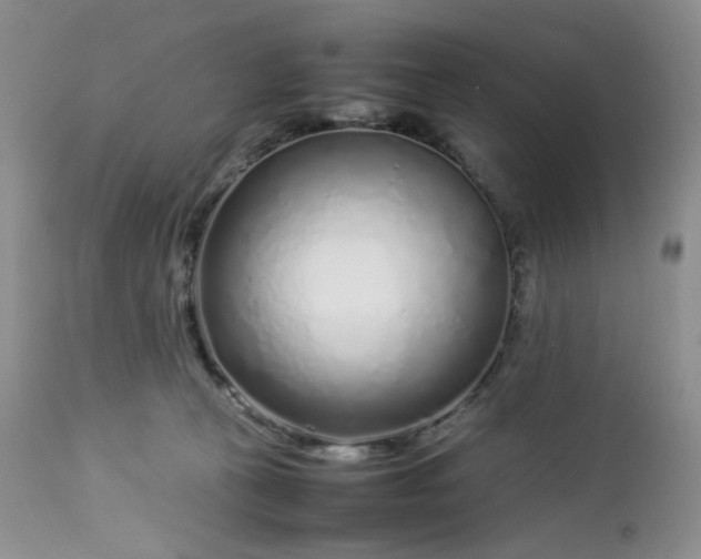 X0000112750273200909101547