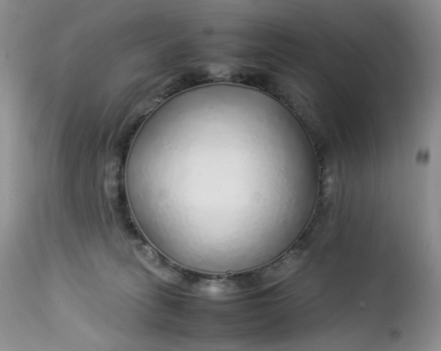 X0000112750275200909101547