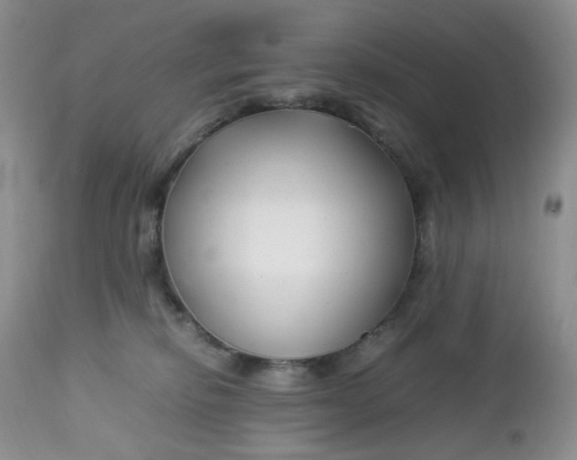 X0000112750278200909101547