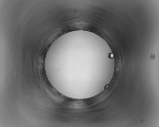 X0000112750279200909101547