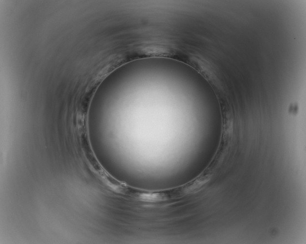 X0000112750281200909101547