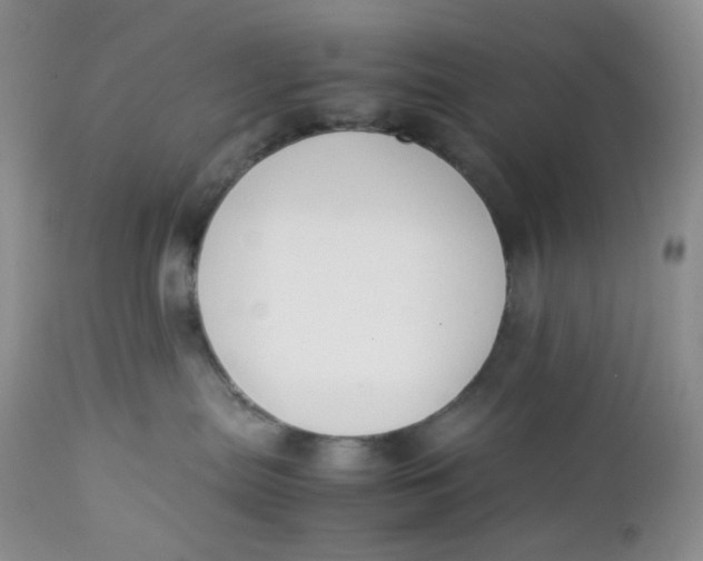 X0000112750287200909101547