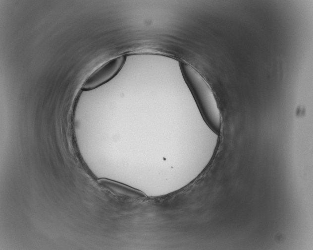 X0000112750289200909101546