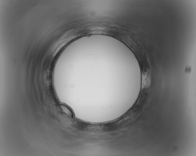 X0000112750291200909101546