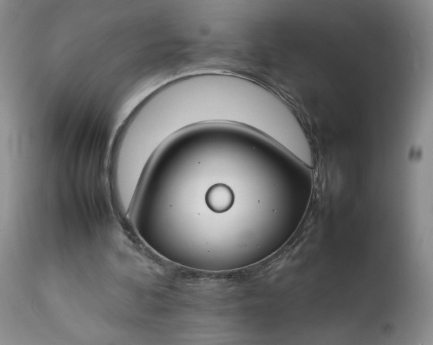 X0000112750292200909101546