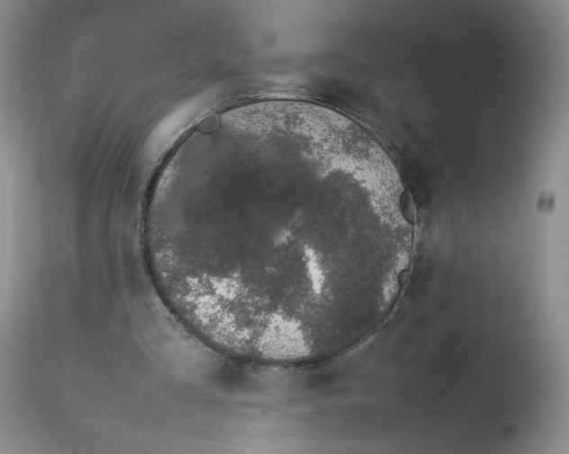 X0000112750293200909101546