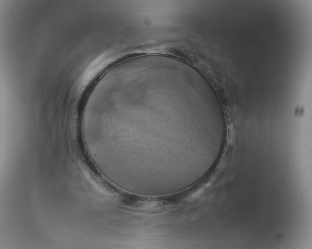 X0000112750295200909101546