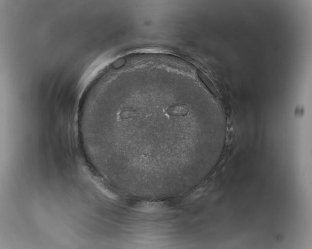 X0000112750296200909101546