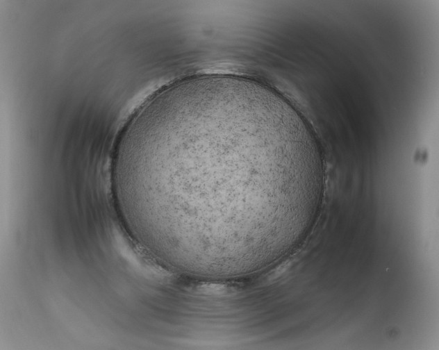 X0000112750298200909101546