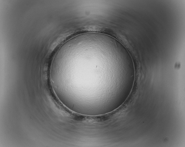 X0000112750299200909101546