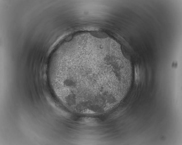 X0000112750300200909101546