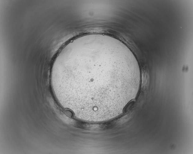 X0000112750301200909101546