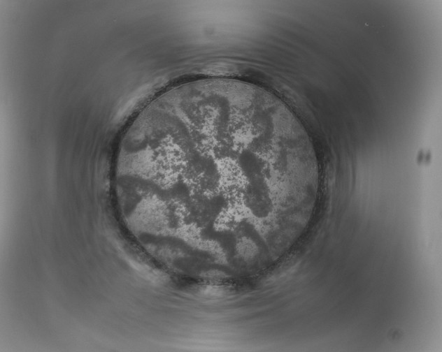 X0000112750303200909101546