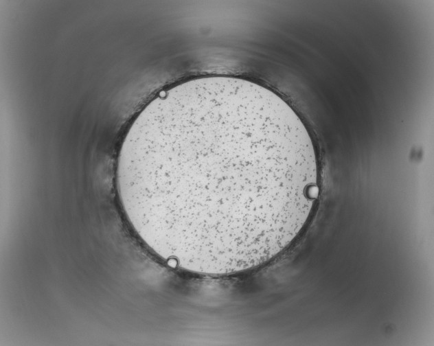 X0000112750305200909101546