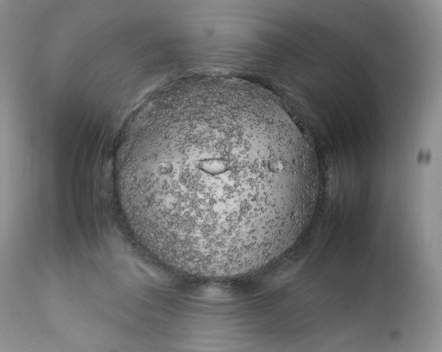 X0000112750308200909101546