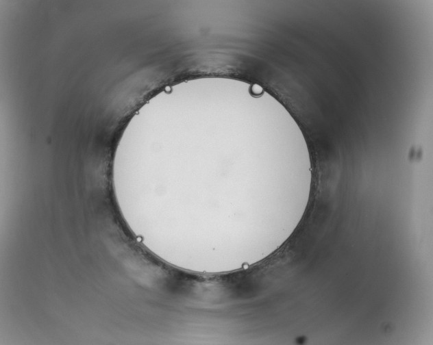 X0000112750309200909101546