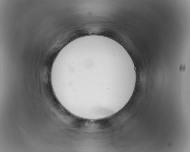 X0000112750311200909101546