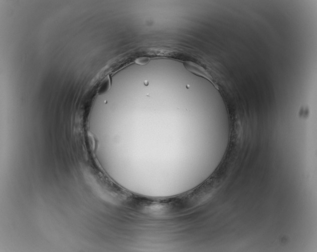 X0000112750312200909101546