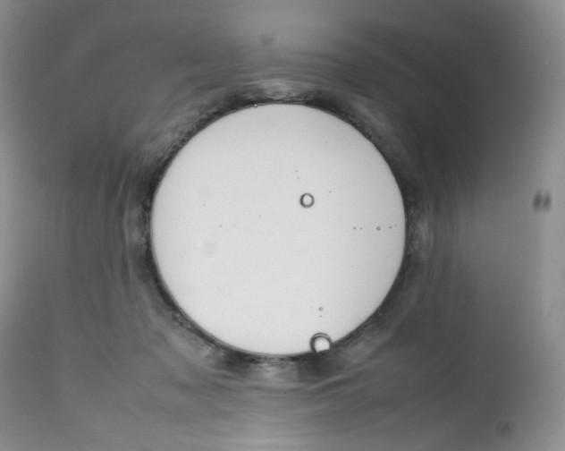 X0000112750317200909101546