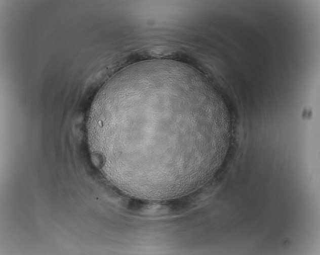 X0000112750319200909101546