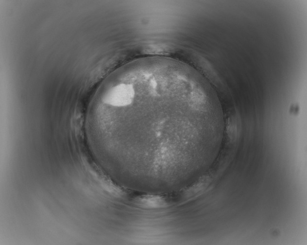 X0000112750322200909101546