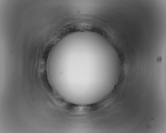 X0000112750323200909101546