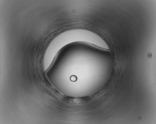 X0000112750324200909101546