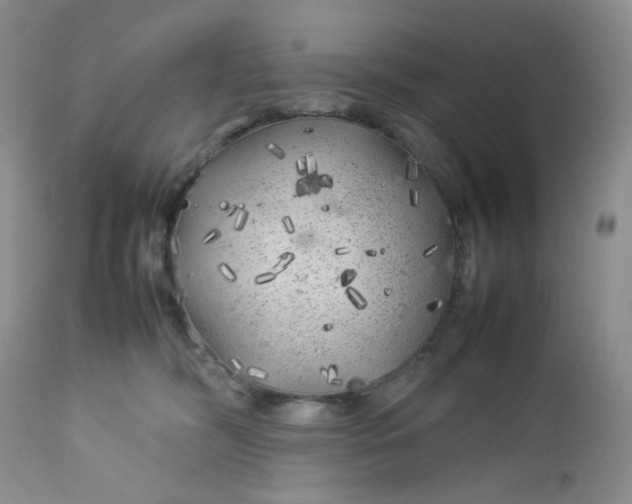 X0000112750326200909101546