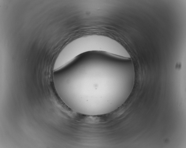 X0000112750328200909101546