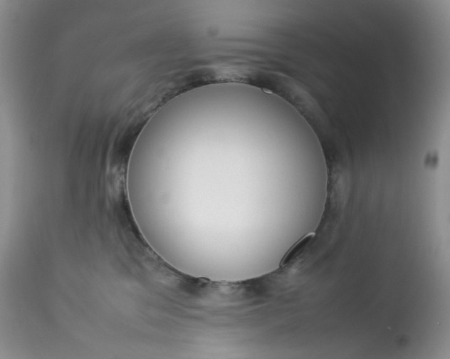 X0000112750329200909101546