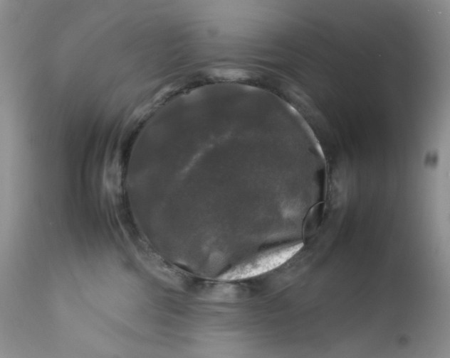 X0000112750330200909101546